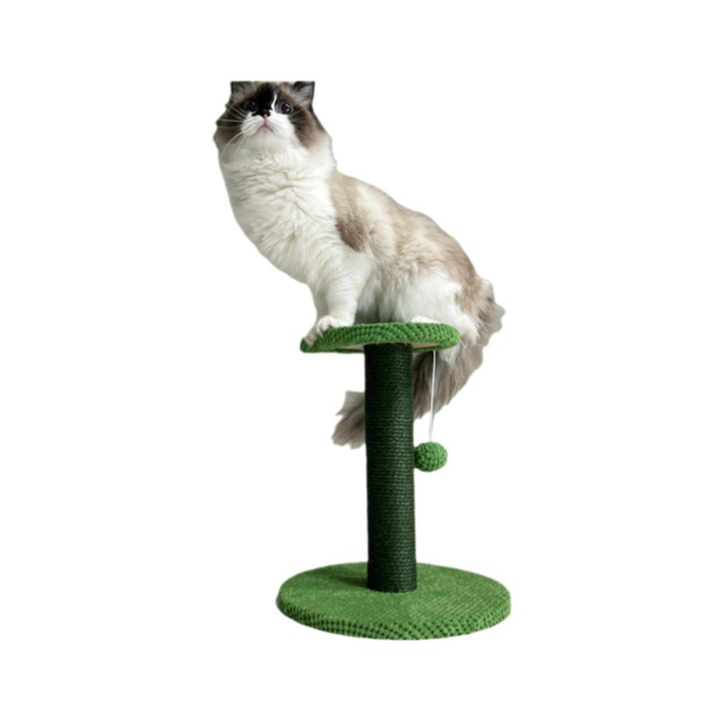 Kletterplattform für Katzen aus Holz