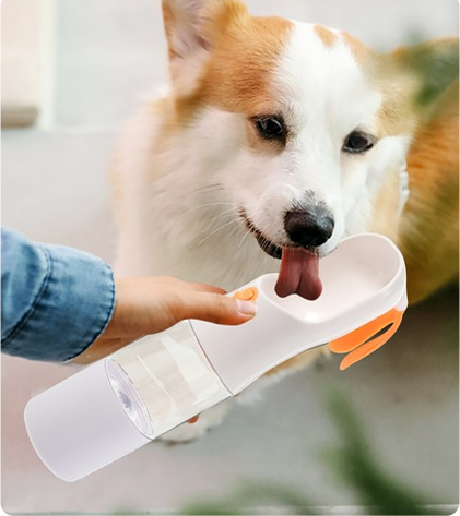 Wasserfütterung für Hunde und Katzen